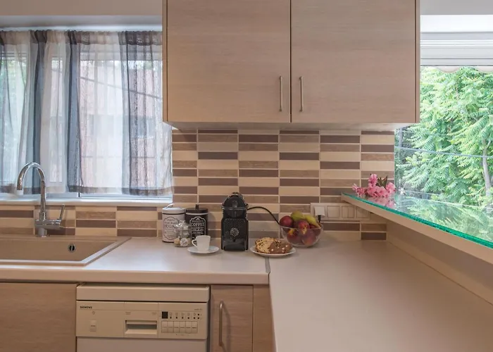 Apartment In The Historical Center Of Athens